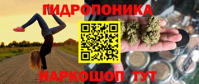 гидропоника Новокубанск
