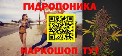гидропоника Новокубанск