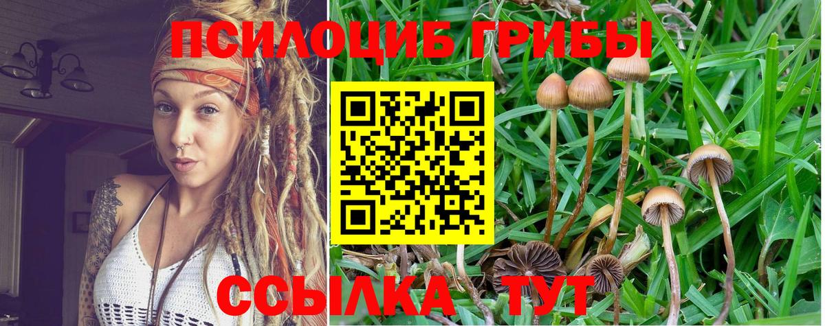 Спасск-Дальний  Псилоцибиновые грибы Magic Shrooms  Вход с VPN 